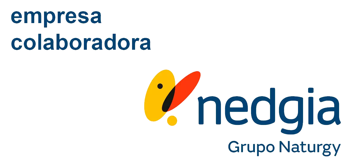 Logo Nedgia